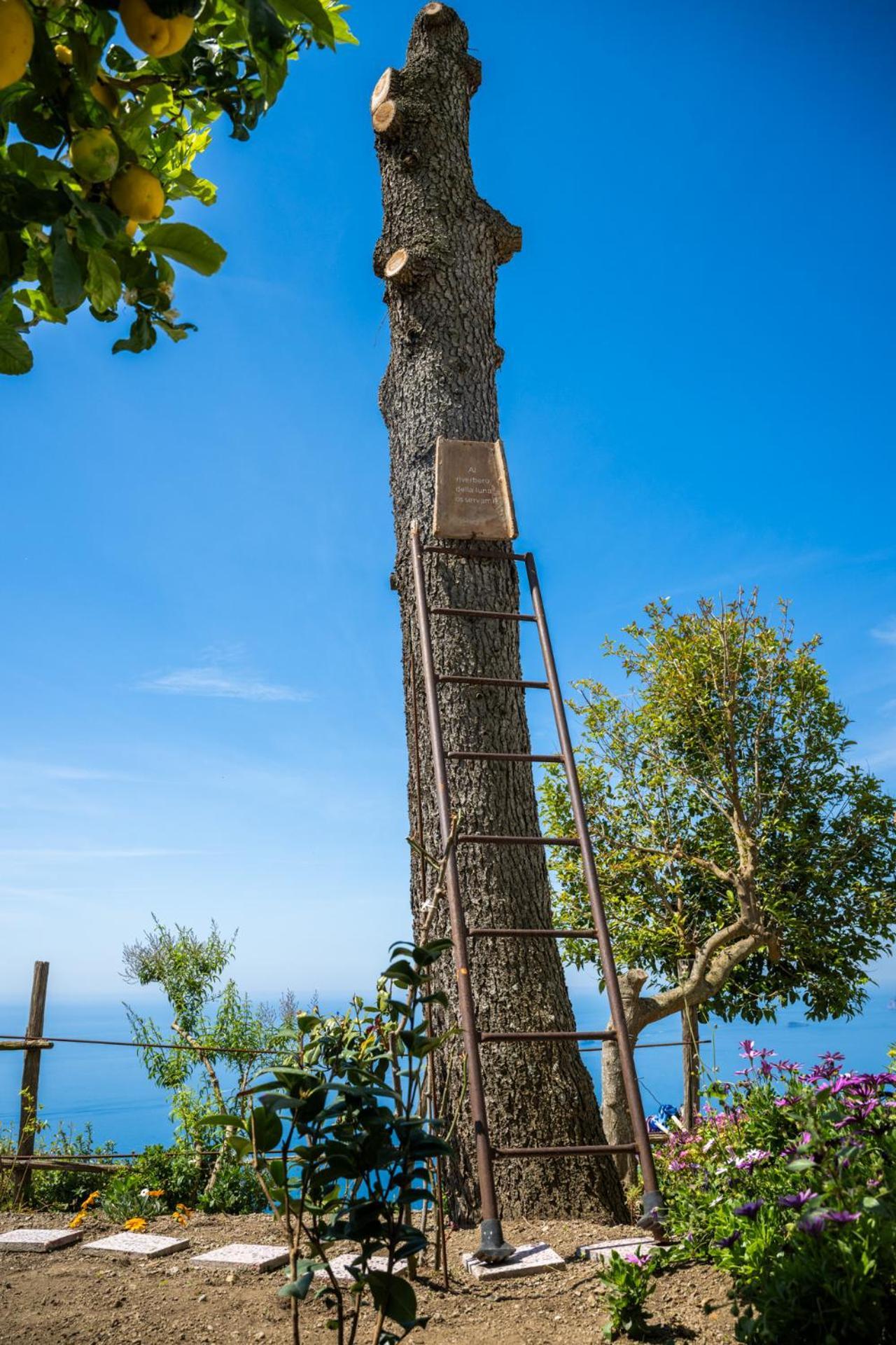 Dimora Giuela Hotel Positano Exterior foto